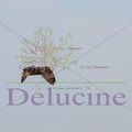 delucine-IMG 2886
