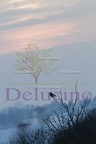 delucine-IMG 5208