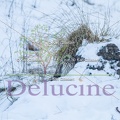 delucine-IMG 5213