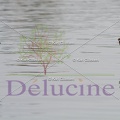 delucine-IMG 0090