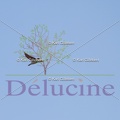 delucine-IMG 0742