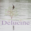 delucine-IMG 9980