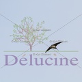 delucine-IMG 0241