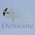 delucine-IMG 0243