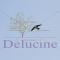 delucine-IMG 0245