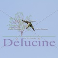 delucine-IMG 0365