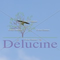 delucine-IMG 9007