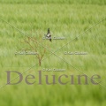 delucine-IMG 1701