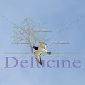 delucine-IMG 0581