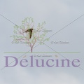 delucine-IMG 8715