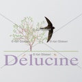 delucine-IMG 8735