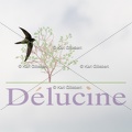 delucine-IMG 9044