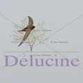 delucine-IMG 9196