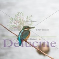 delucine-IMG 4364