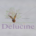 delucine-IMG 4523
