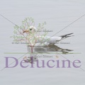 delucine-IMG 6899