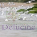 delucine-IMG 3975