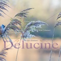 delucine-IMG 2222