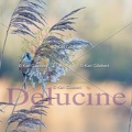 delucine-IMG 2236