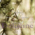 delucine-IMG 8944