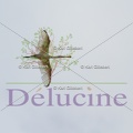 delucine-IMG 0887