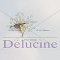 delucine-IMG 1040