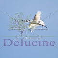 delucine-IMG 1253
