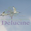 delucine-IMG 9700