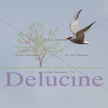 delucine-IMG 0291