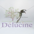 delucine-IMG 0548