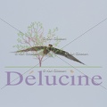 delucine-IMG 2554