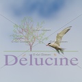 delucine-IMG 2570