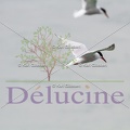 delucine-IMG 9797