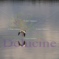delucine-IMG 9889
