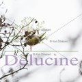delucine-IMG 6725