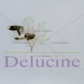 delucine-IMG 9575