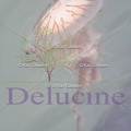 delucine-IMG 1035