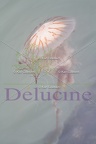 delucine-IMG 1035