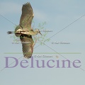 delucine-IMG 0889