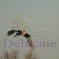 delucine-IMG 0903
