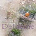delucine-IMG 0653