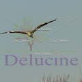 delucine-IMG 0878