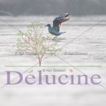 delucine-IMG 0400