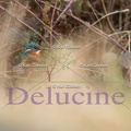 delucine-IMG 3322