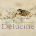 delucine-3968