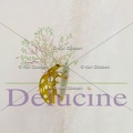 delucine-0560
