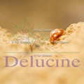 delucine-9056