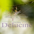 delucine-5775