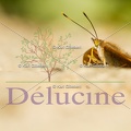 delucine-1101.jpg