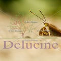 delucine-1103